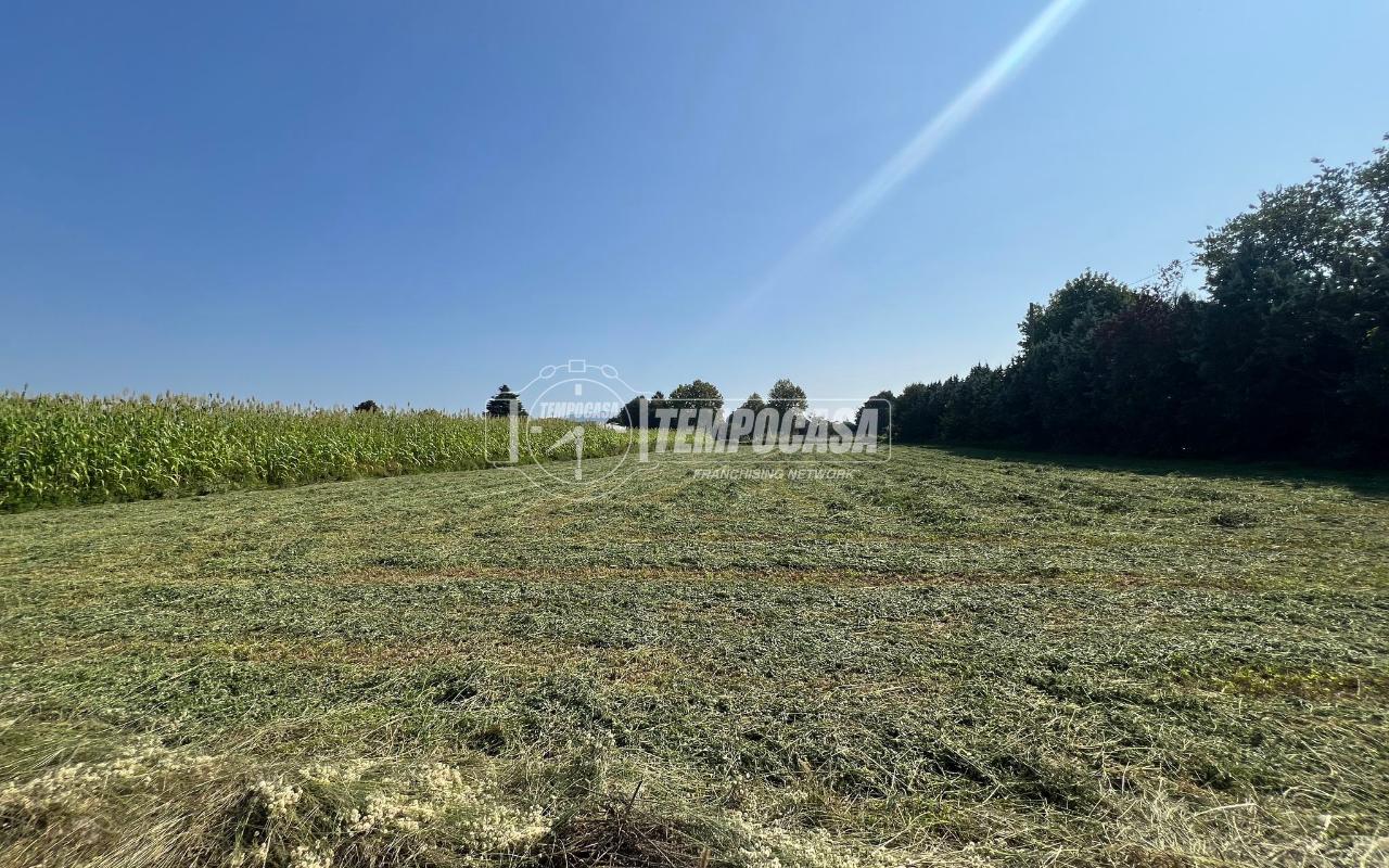 immagine annuncio 3 di 12