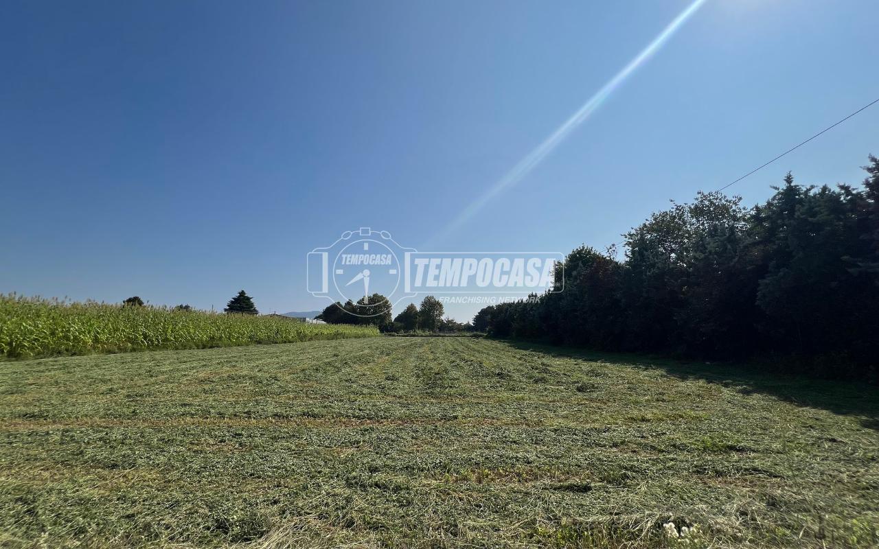 immagine annuncio 7 di 12