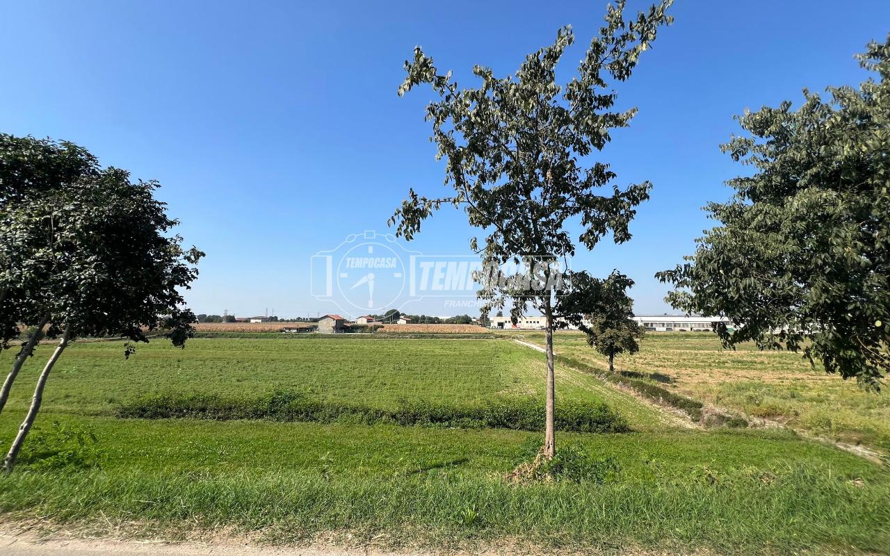 immagine annuncio 10 di 12