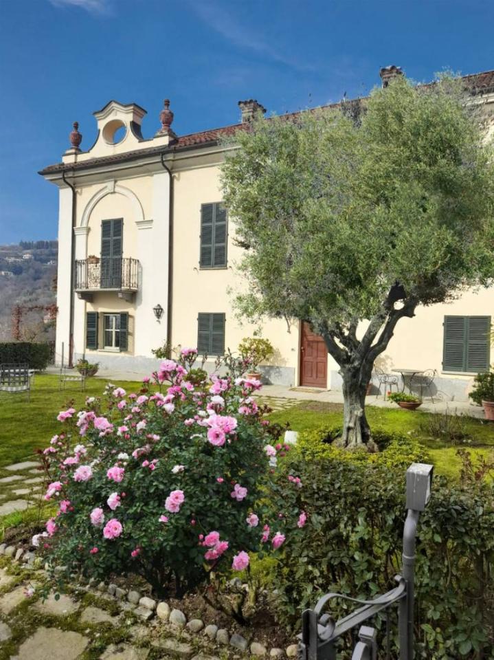 immagine annuncio 13 di 14