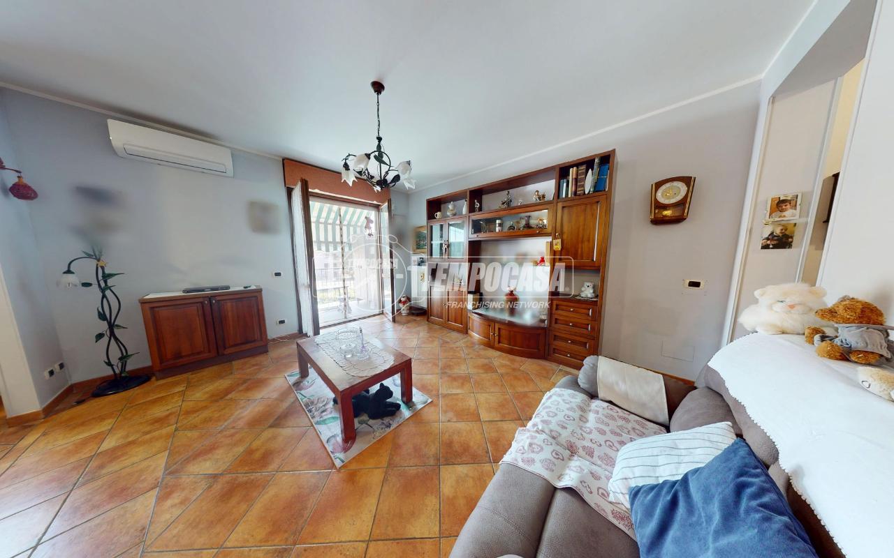 immagine annuncio 9 di 14