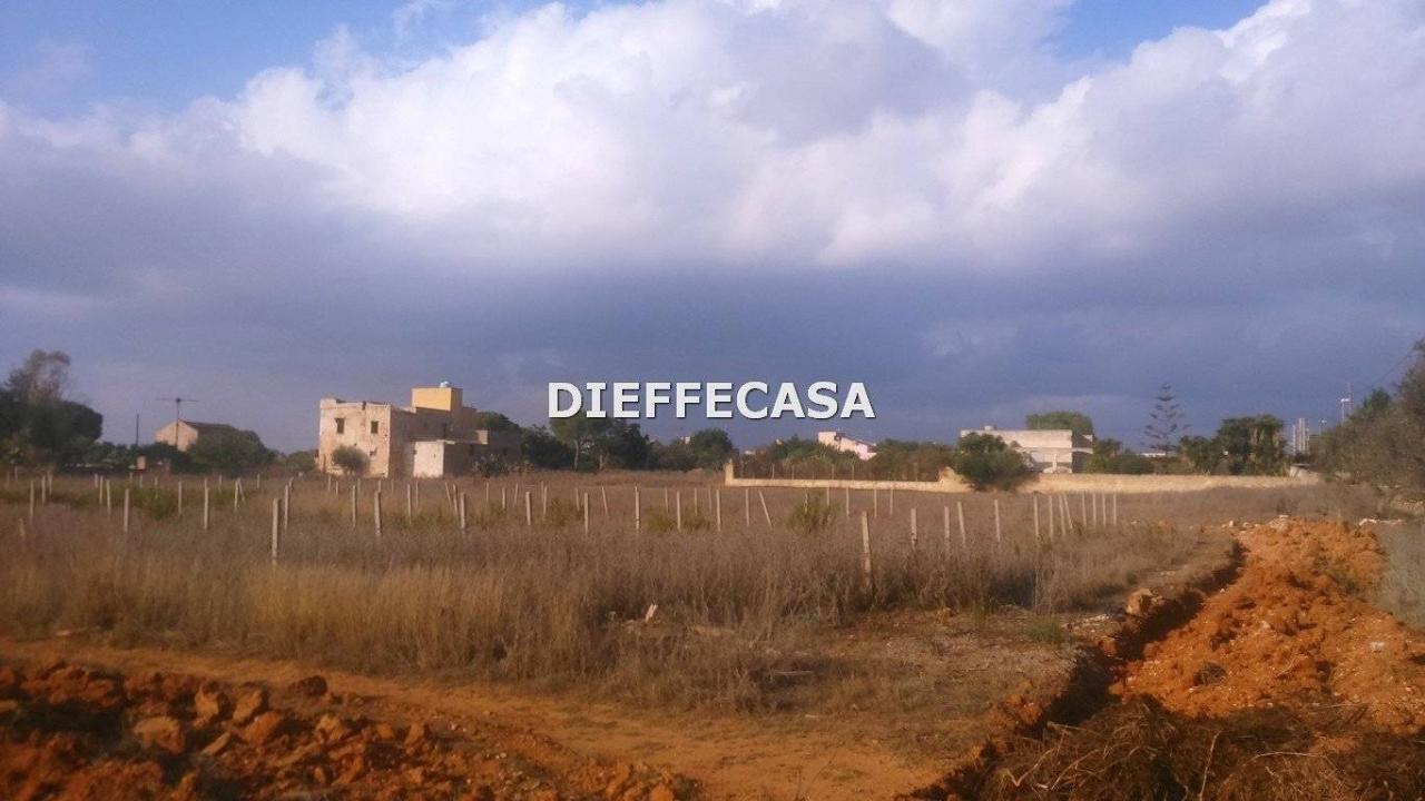 immagine annuncio 4 di 7