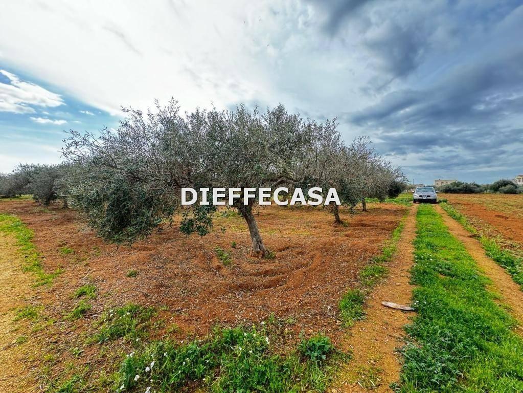 immagine annuncio 4 di 9