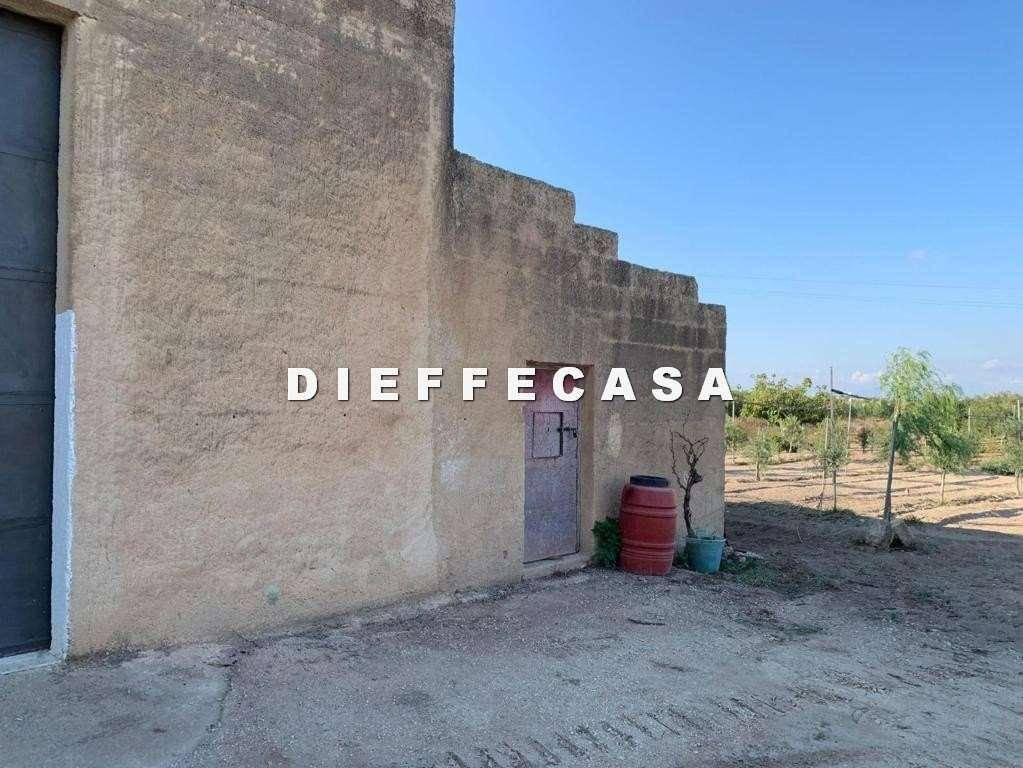 immagine annuncio 5 di 11
