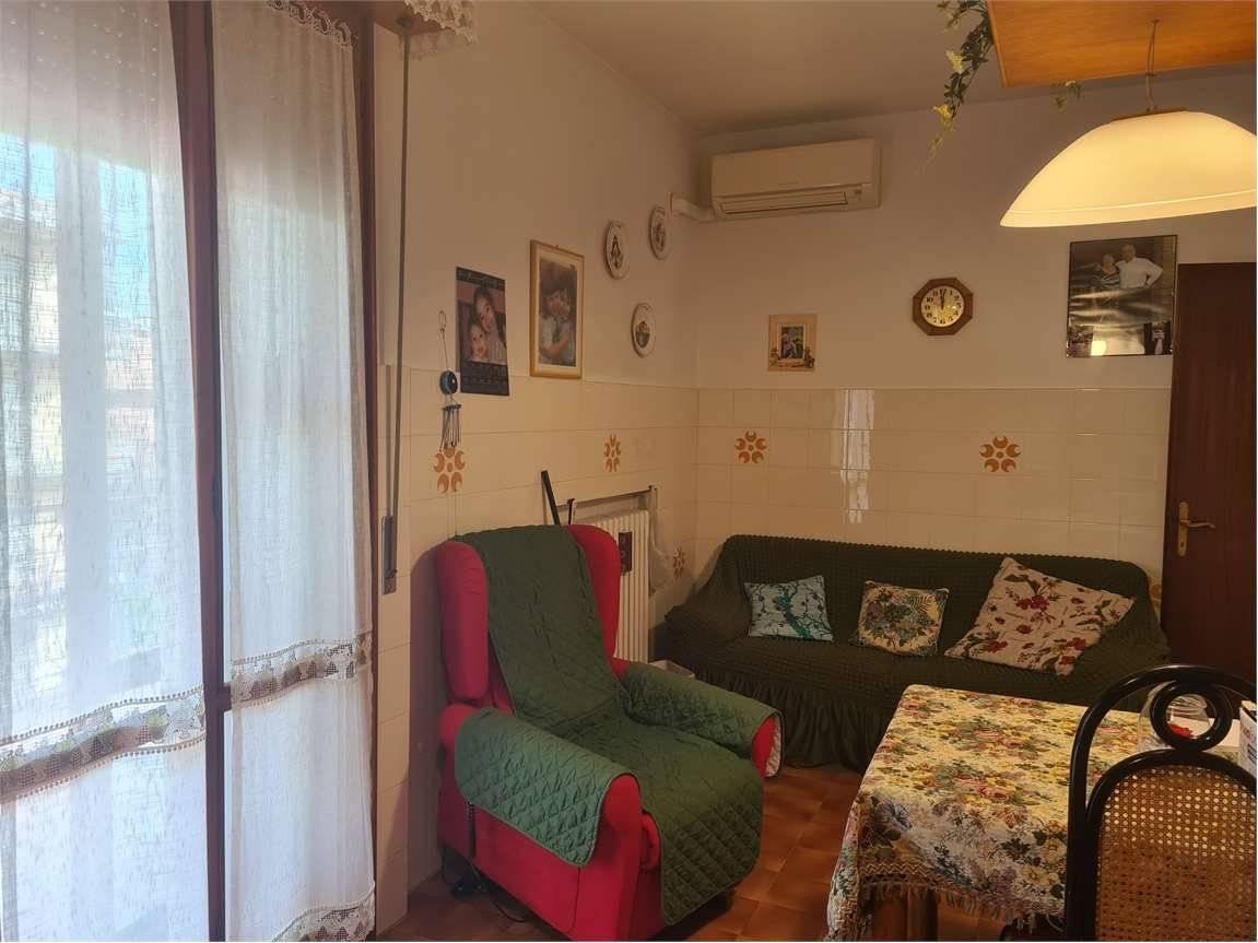 immagine annuncio 6 di 12