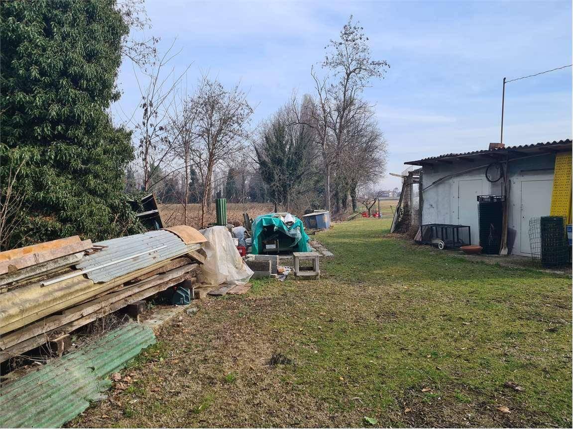 immagine annuncio 4 di 15