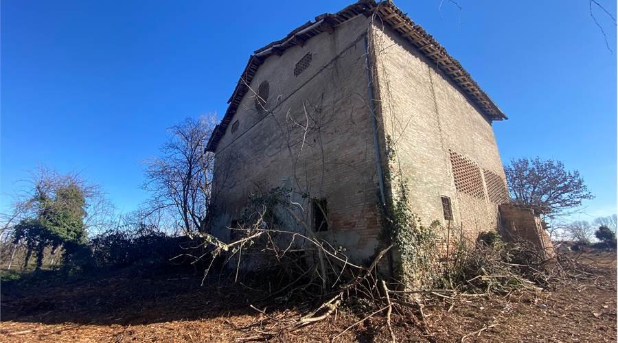immagine annuncio 2 di 11