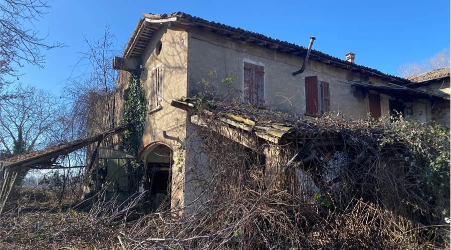 immagine annuncio 8 di 11