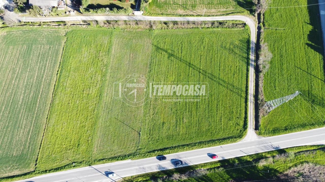 immagine annuncio 5 di 7