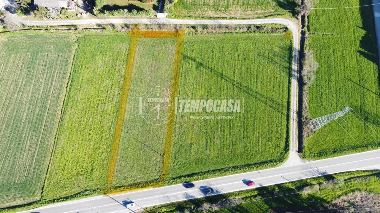 immagine annuncio 2 di 7