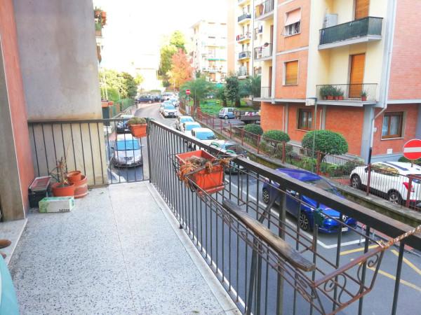 immagine annuncio 1 di 7