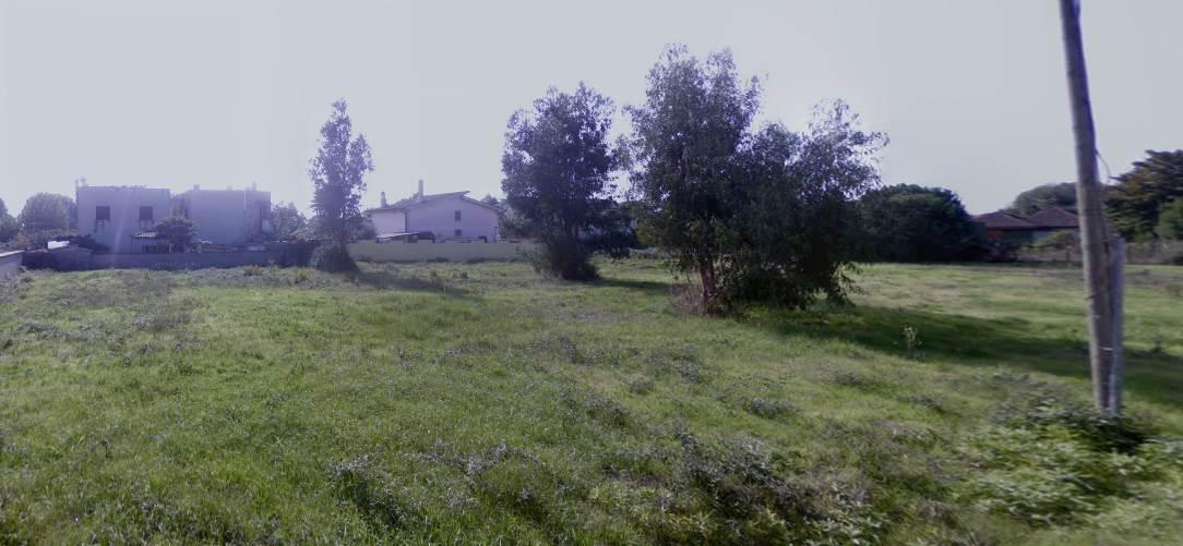 immagine annuncio 1 di 7