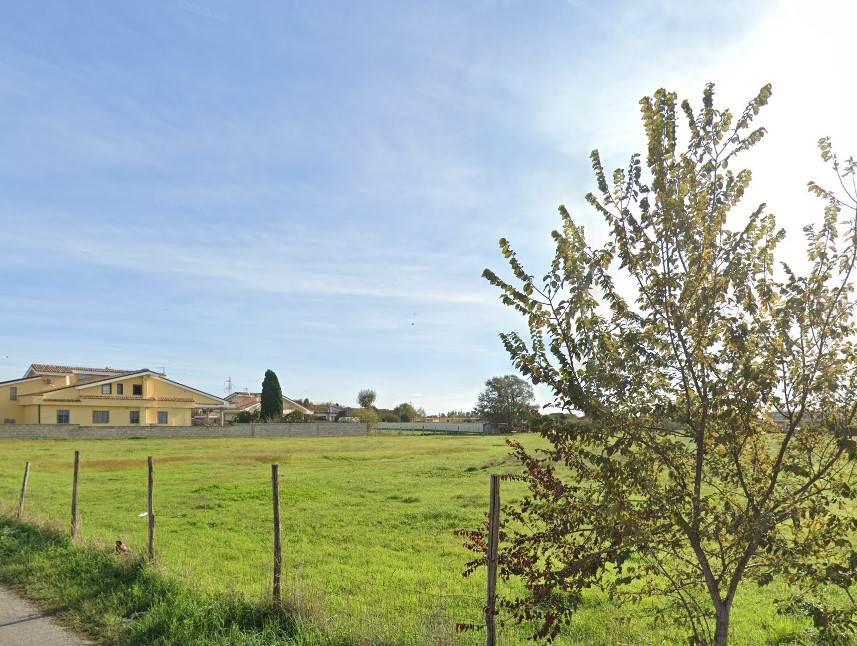 immagine annuncio 4 di 8