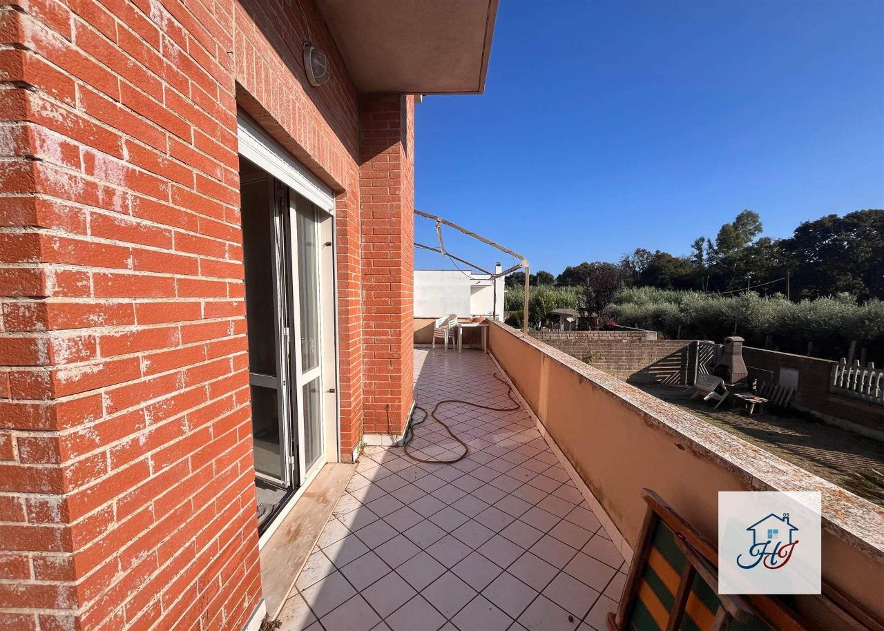 immagine annuncio 12 di 14