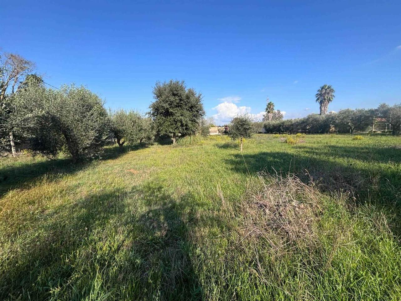 immagine annuncio 6 di 14