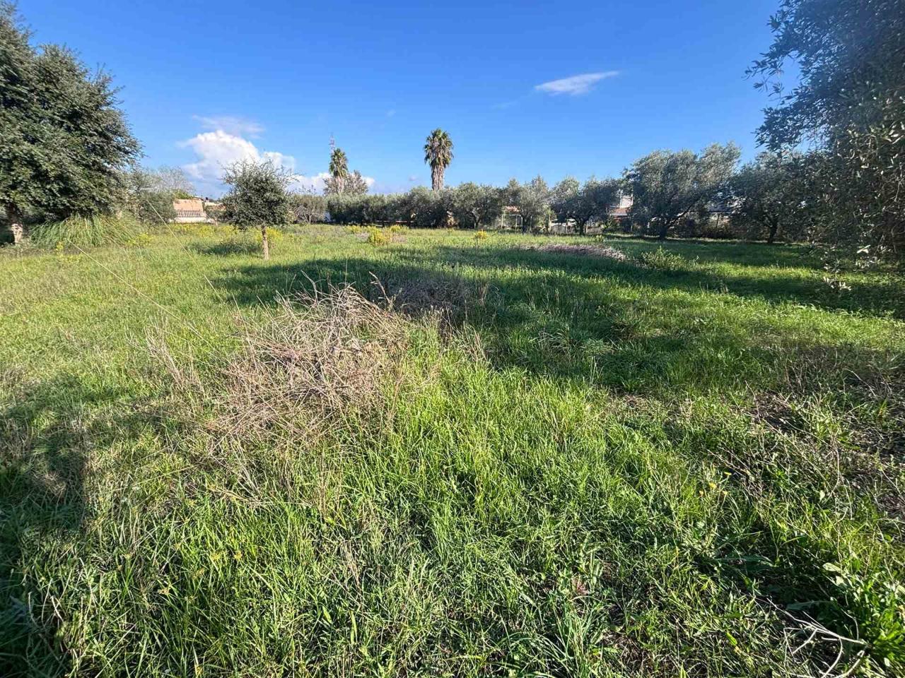 immagine annuncio 3 di 14