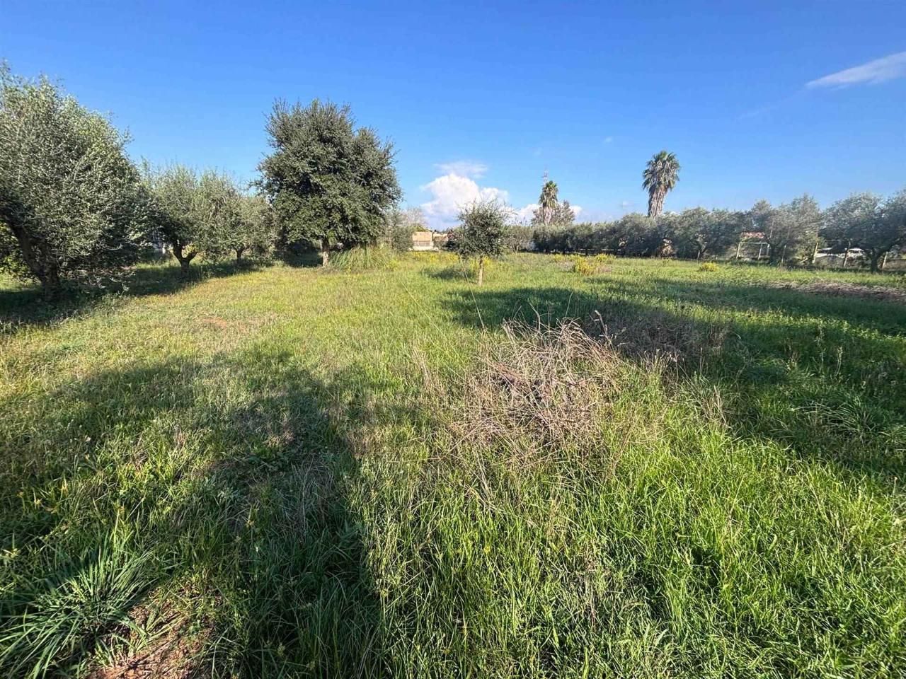 immagine annuncio 5 di 14