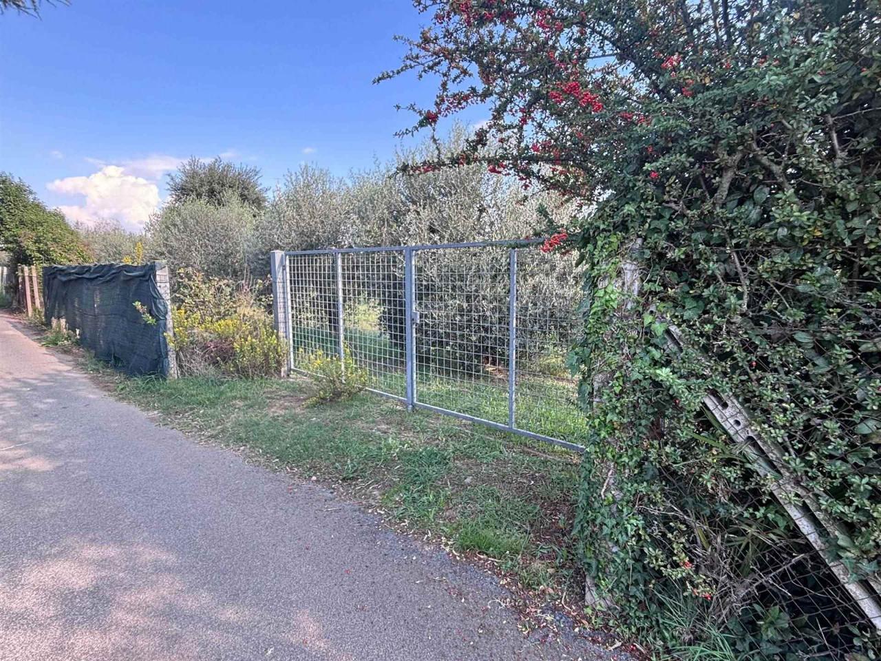 immagine annuncio 1 di 14