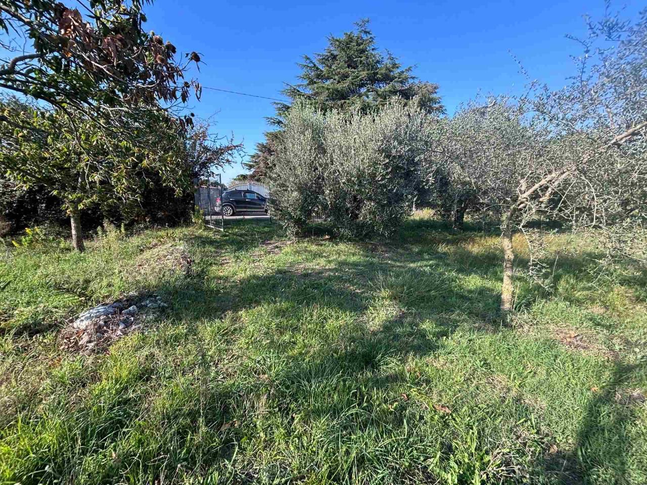 immagine annuncio 7 di 14