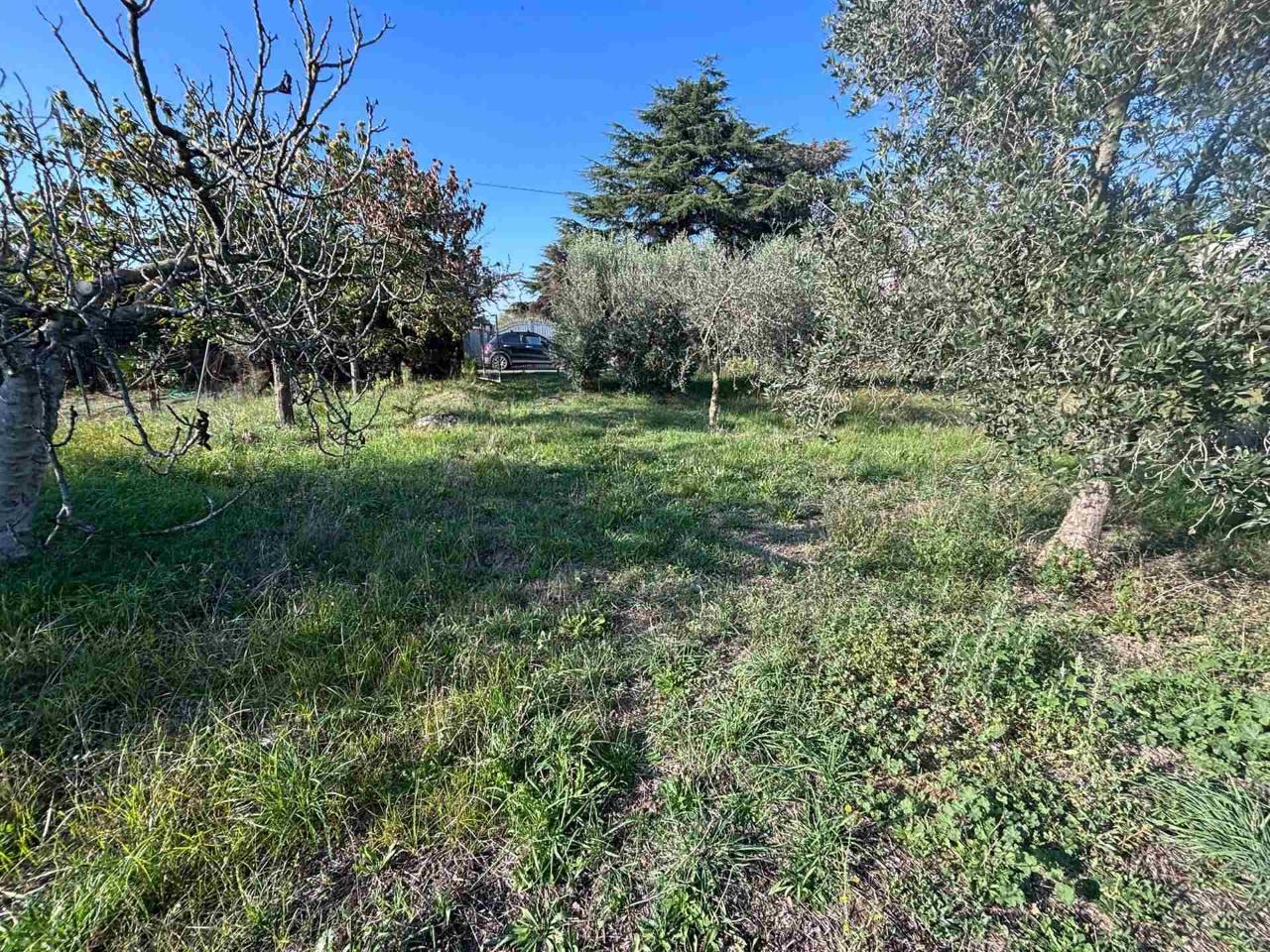 immagine annuncio 2 di 14