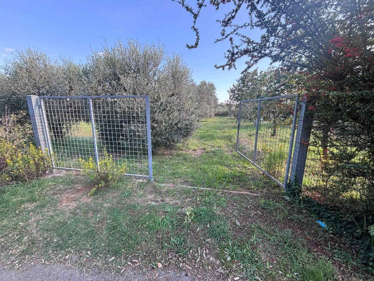 immagine annuncio 11 di 14