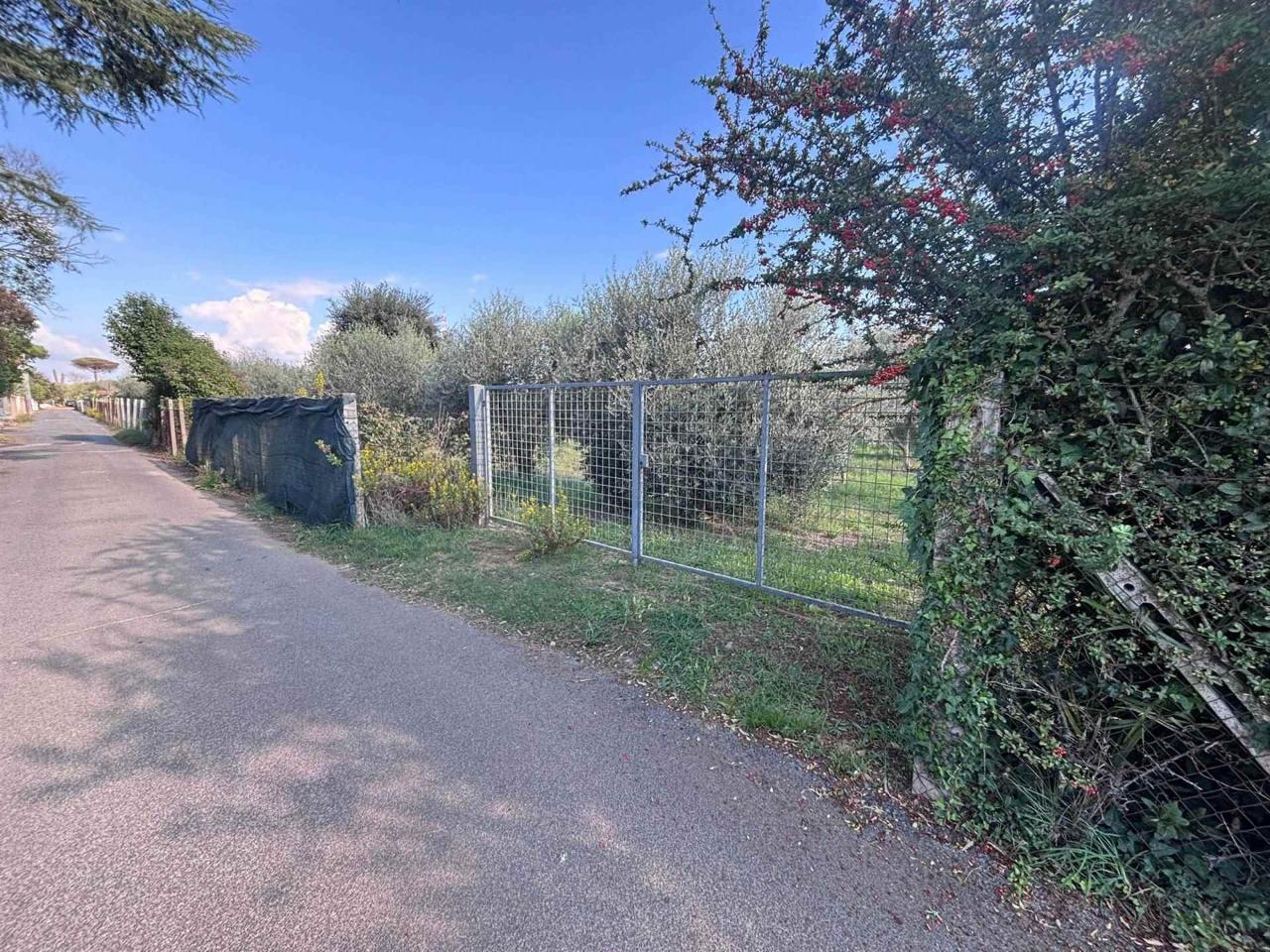 immagine annuncio 12 di 14