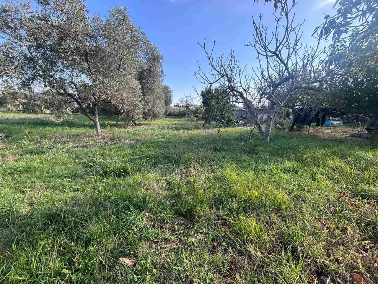 immagine annuncio 13 di 14