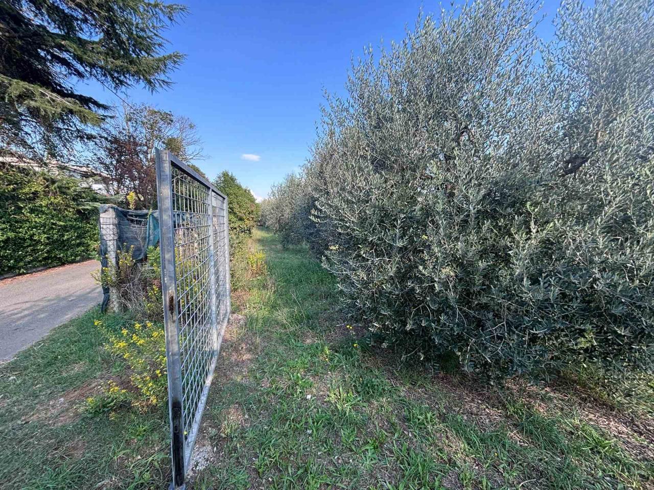 immagine annuncio 10 di 14