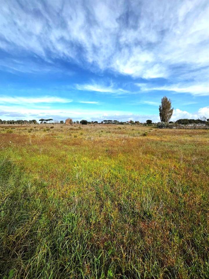 immagine annuncio 6 di 11