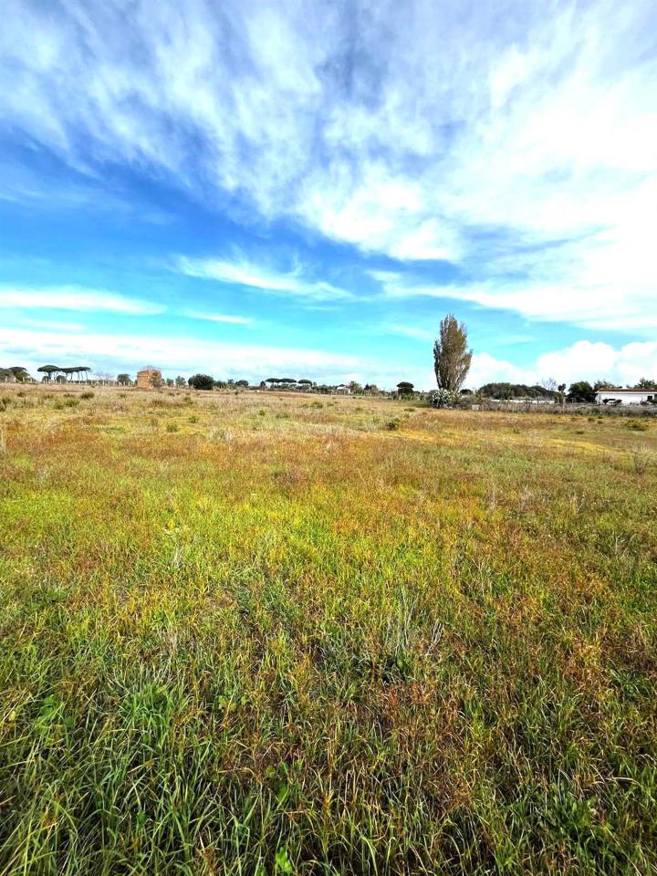 immagine annuncio 6 di 11