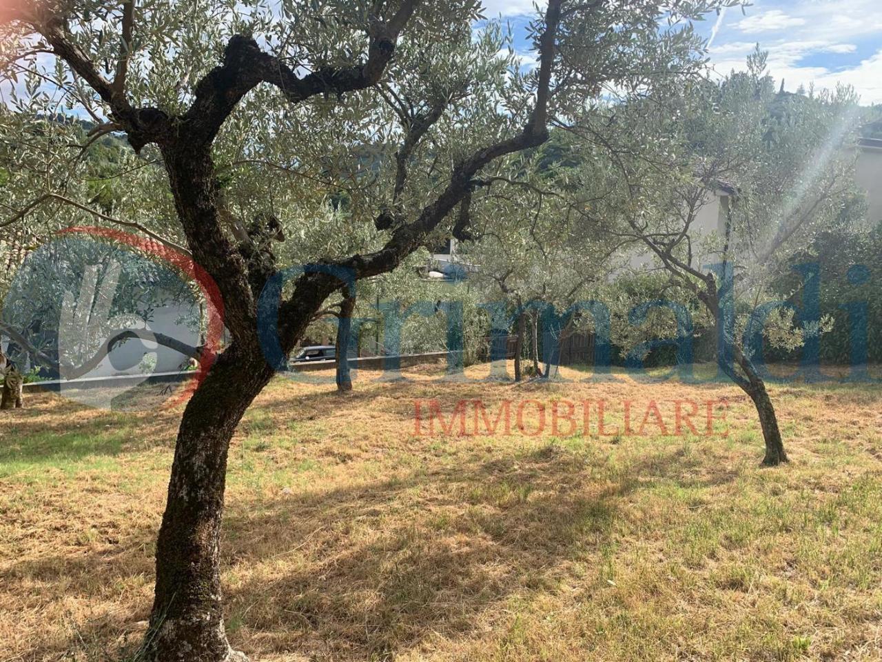 immagine annuncio 3 di 7