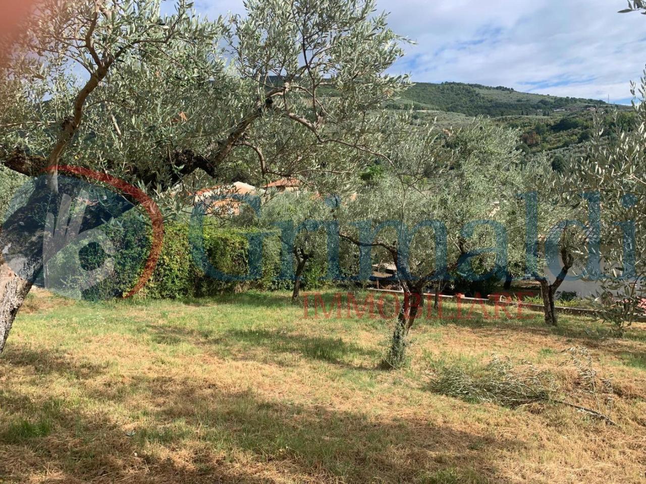 immagine annuncio 4 di 7