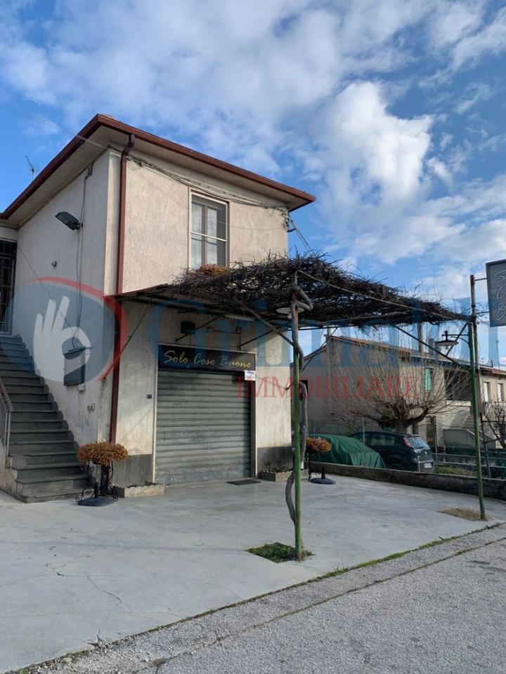 immagine annuncio 1 di 8