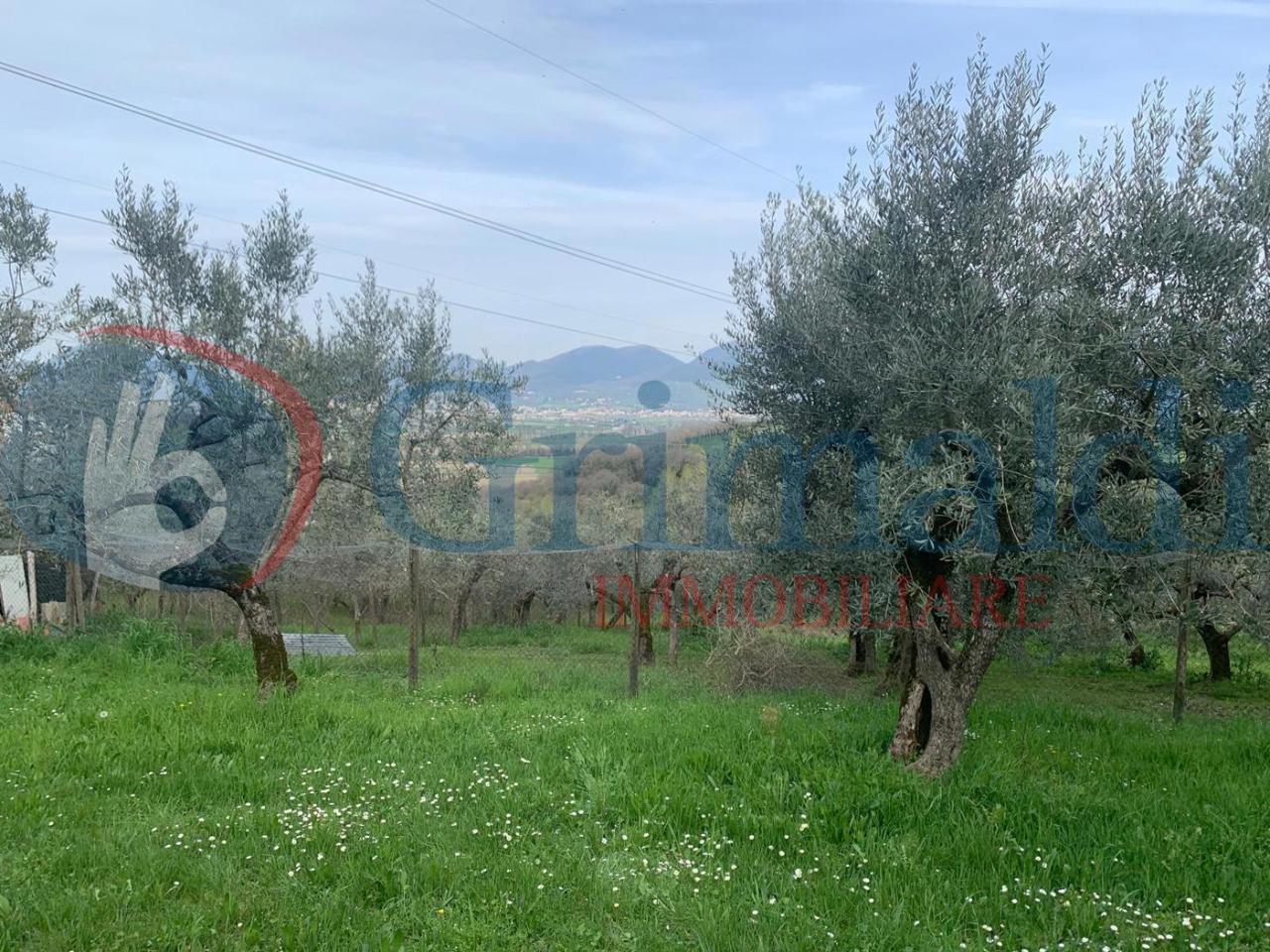 immagine annuncio 9 di 13