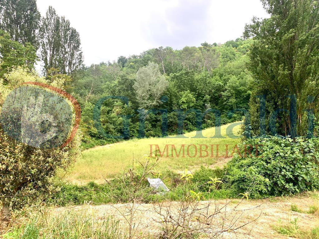 immagine annuncio 11 di 13