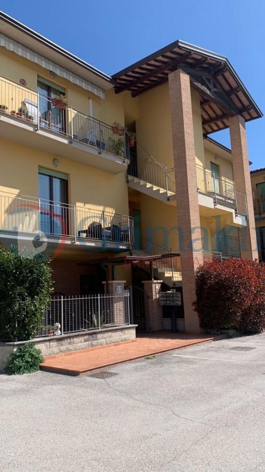 immagine annuncio 9 di 14