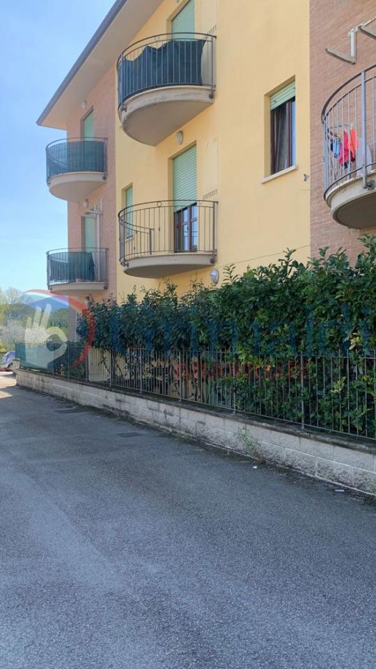 immagine annuncio 10 di 14