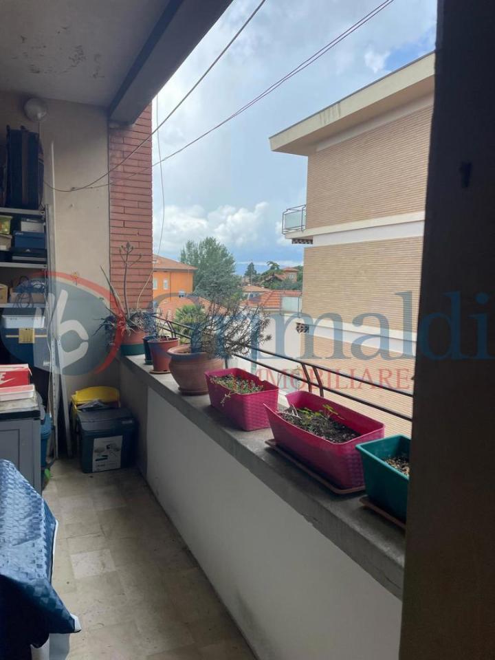 immagine annuncio 7 di 13