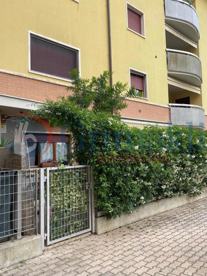 immagine annuncio 7 di 14
