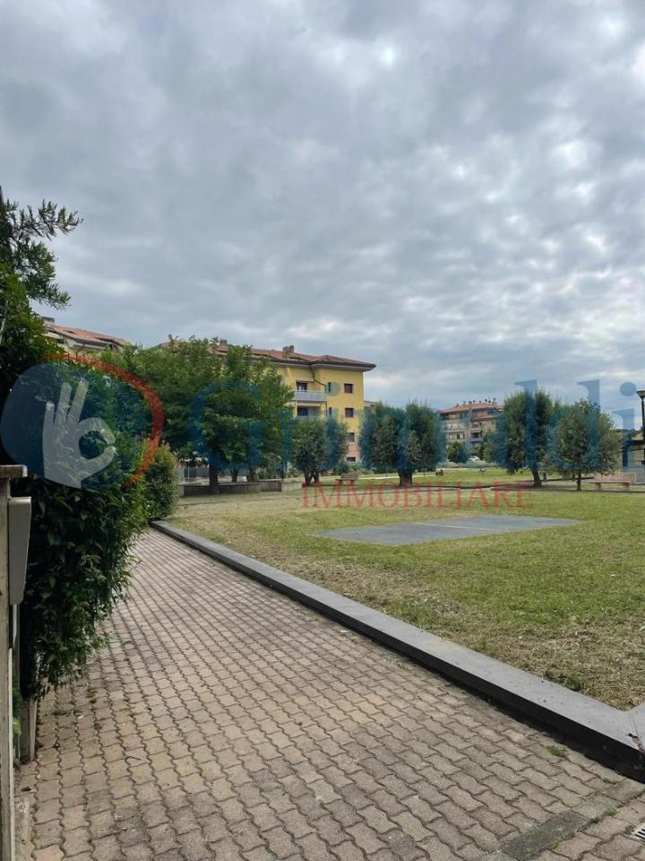 immagine annuncio 12 di 14