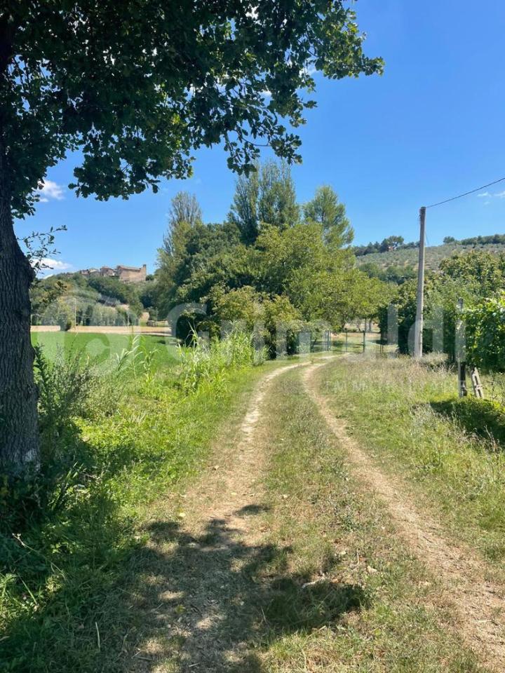 immagine annuncio 1 di 6