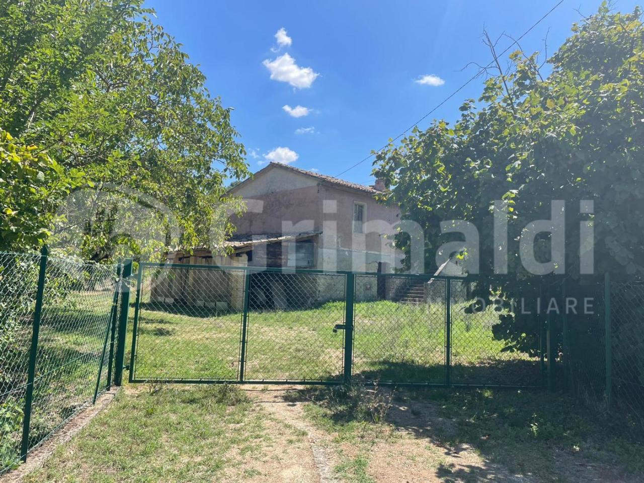 immagine annuncio 4 di 6