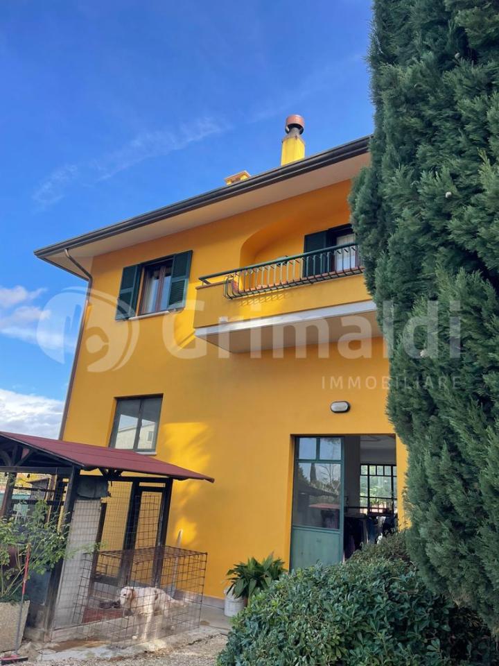 immagine annuncio 2 di 3