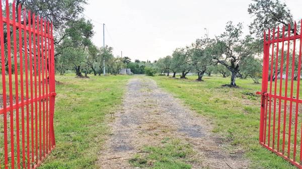 Villa bifamiliare in vendita a Viterbo