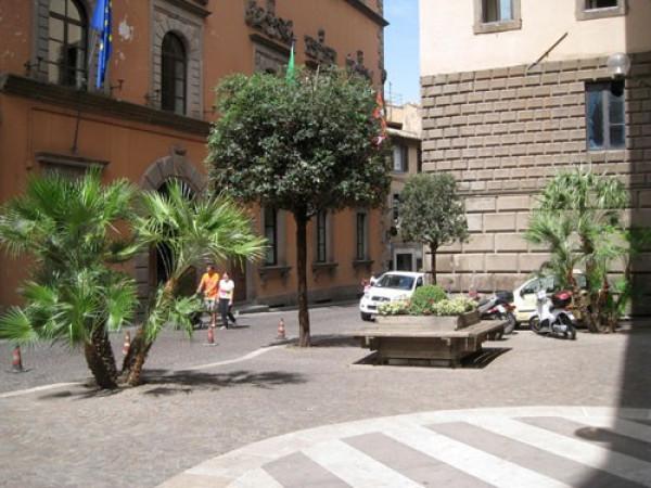 Negozio in Via Aurelio Saffi, Viterbo, {3} - Foto 1