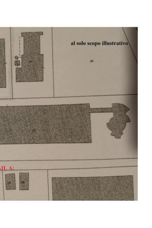 Negozio in Via del Pavone, Viterbo, {3} - Planimetria 1