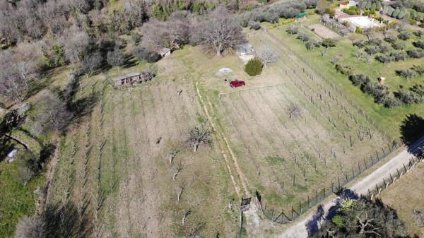 Terreno agricolo in Strada Gavazzano, Viterbo - Foto 1