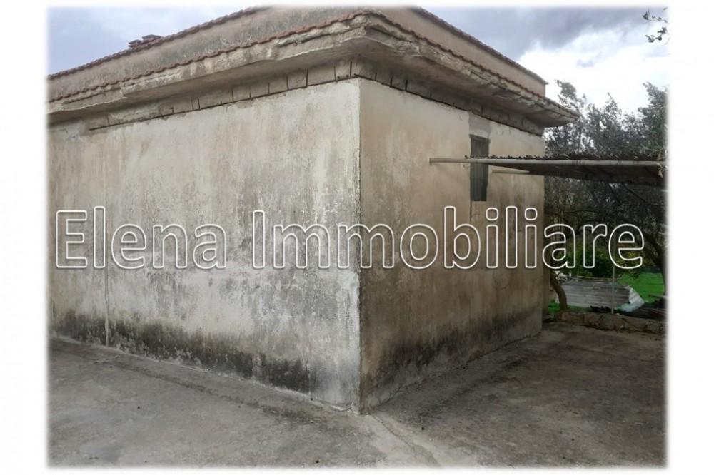 immagine annuncio 3 di 8