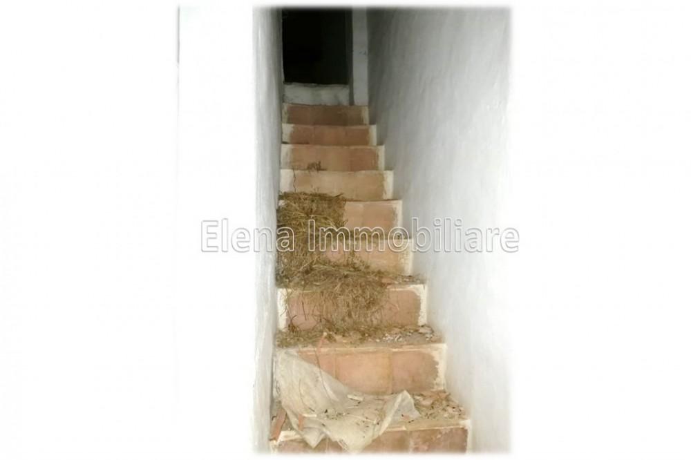 immagine annuncio 1 di 4