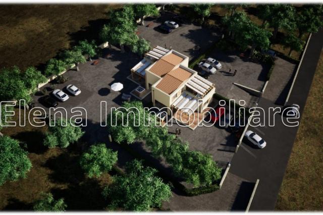 insertion image